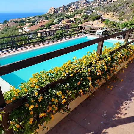 Petra - Ostro * Costa Paradiso